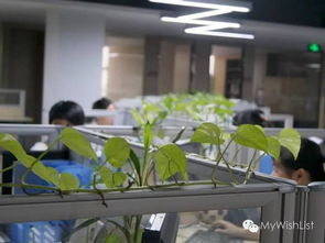 好声音是怎么产生的 漫步者20周年工厂参观记之走进消声室